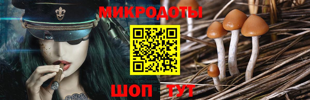 закладка  Псилоцибиновые грибы Cubensis  Вход с VPN  Пенза 